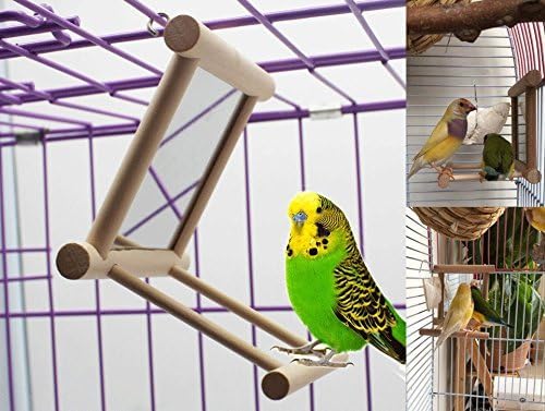Hypeety Bird Parrot Mirror Toy Swing Hanging with Perch for Parrot Parakeet Budgies Cockatiel