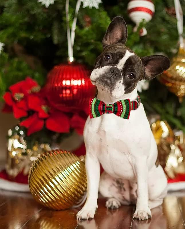 Lionet Paws Christmas Dog Collar with Bowtie, Dog Bowtie Collar with Metal Buckle for Dogs and