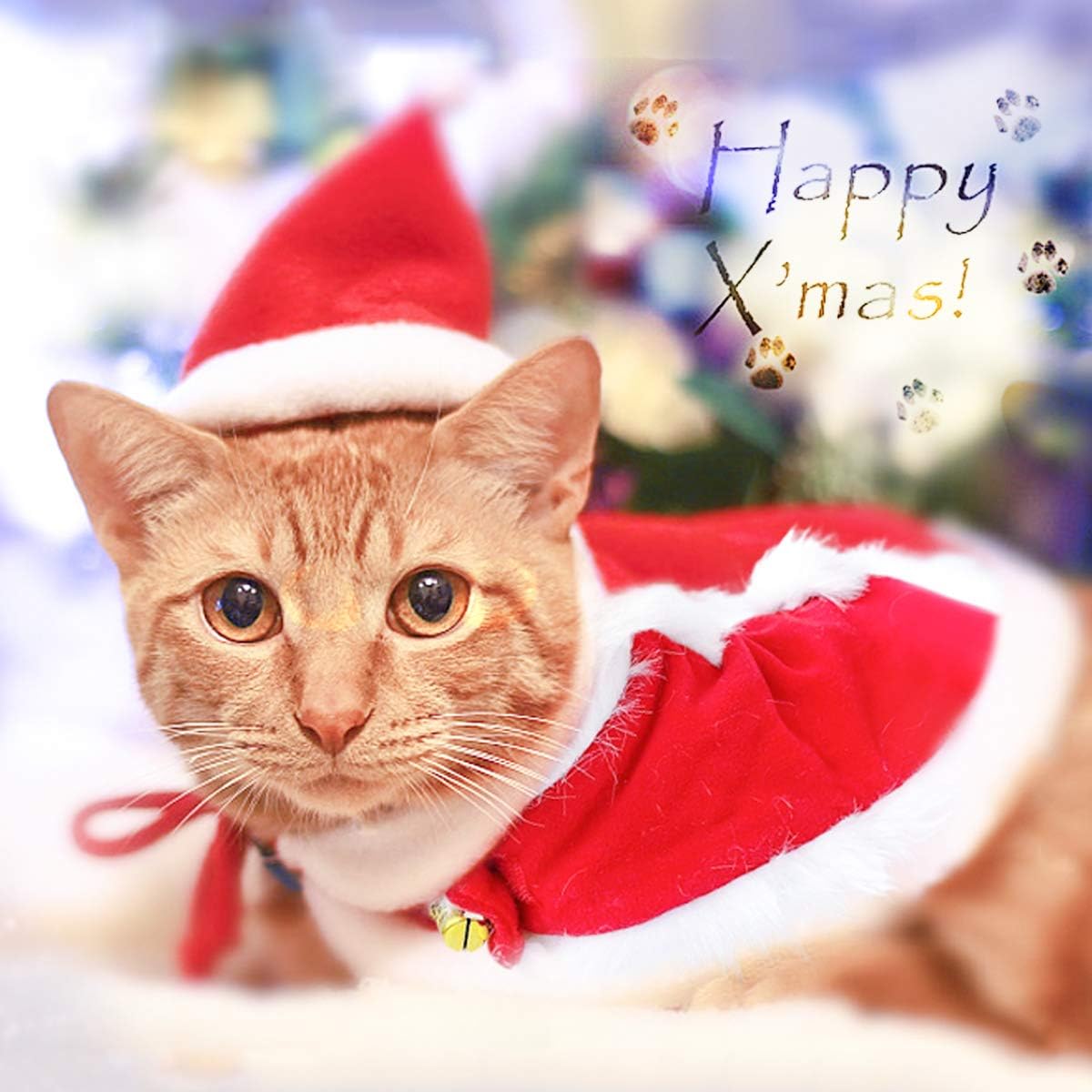 Enjoying Cat Christmas Costume, Pet Santa Claus Hat with Xmas Clothes for Cats Small Dogs, Kitten