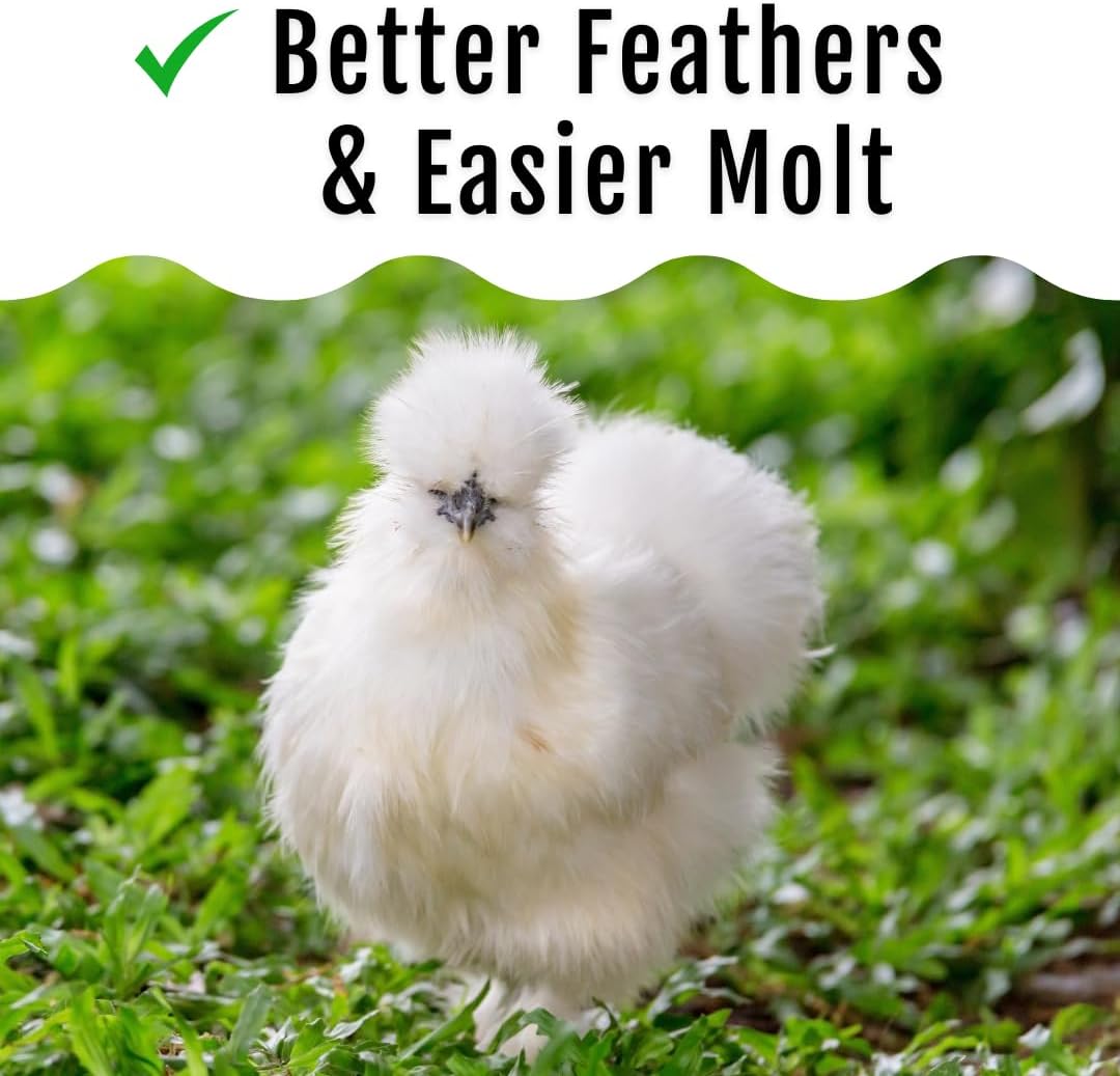 Grub Fuel Black Soldier Fly Larvae for Chickens - Nutrient-Packed BSFL, Sustainably Sourced Snack
