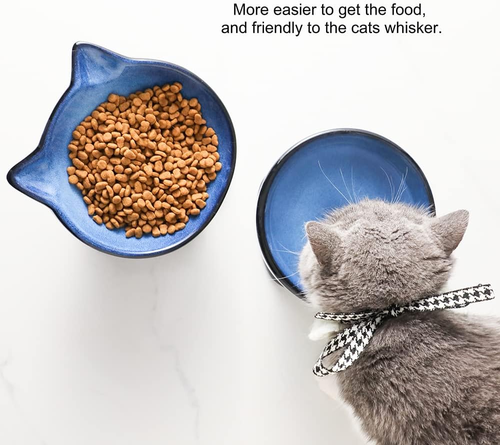 Nihow Elevated Cat/Dog Bowls Set : 6.2 Inch Ceramic Raised Cat Food & Water Bowl Set for Protecting