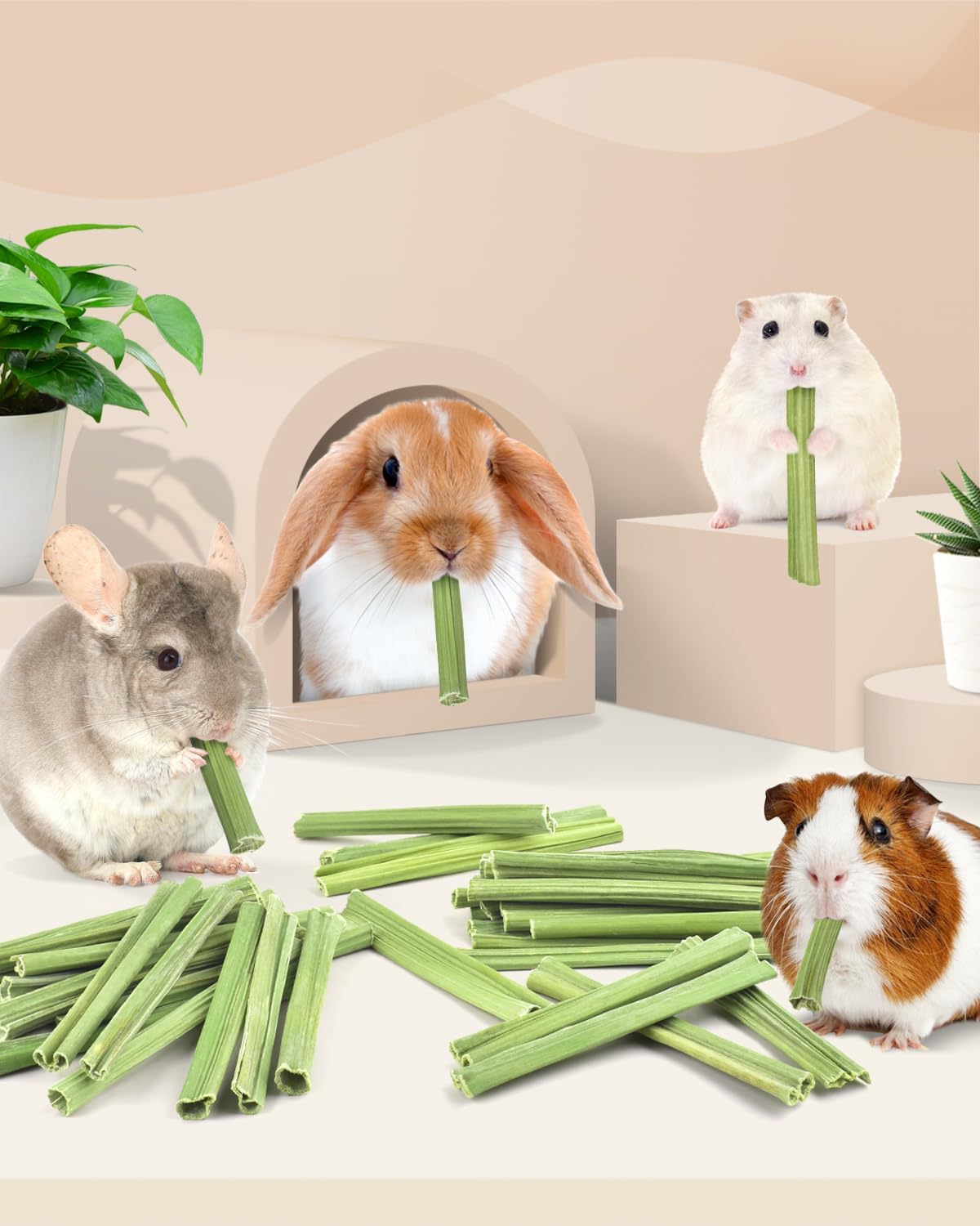 Bissap 50PCS Rabbit Chew Sticks, Natural Papaya Stems Bunny Chews Treats for Rabbits Hamsters