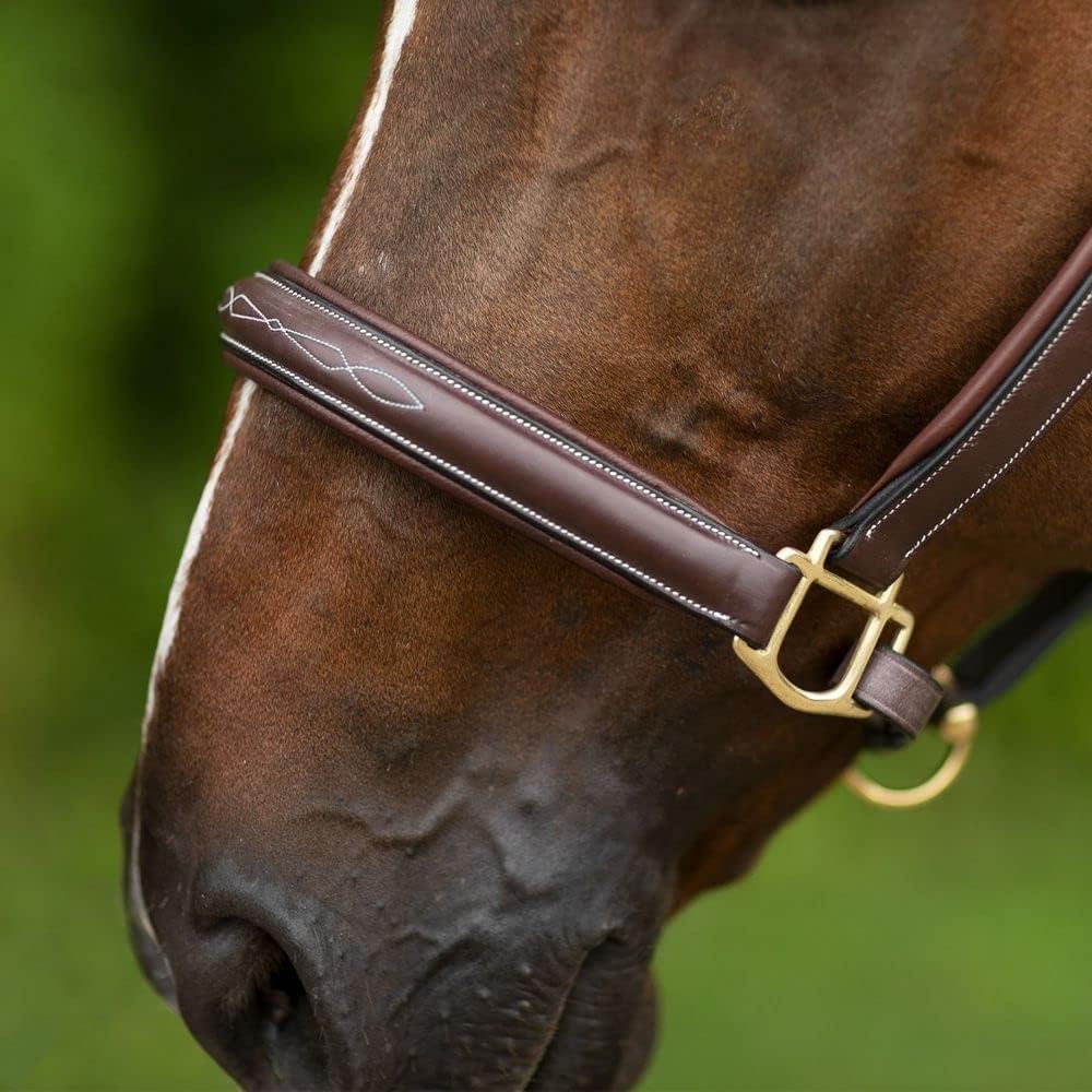 Joseph Sterling Comfort Crown Leather Halter for Horses | Memory Foam Interior for Comfort |