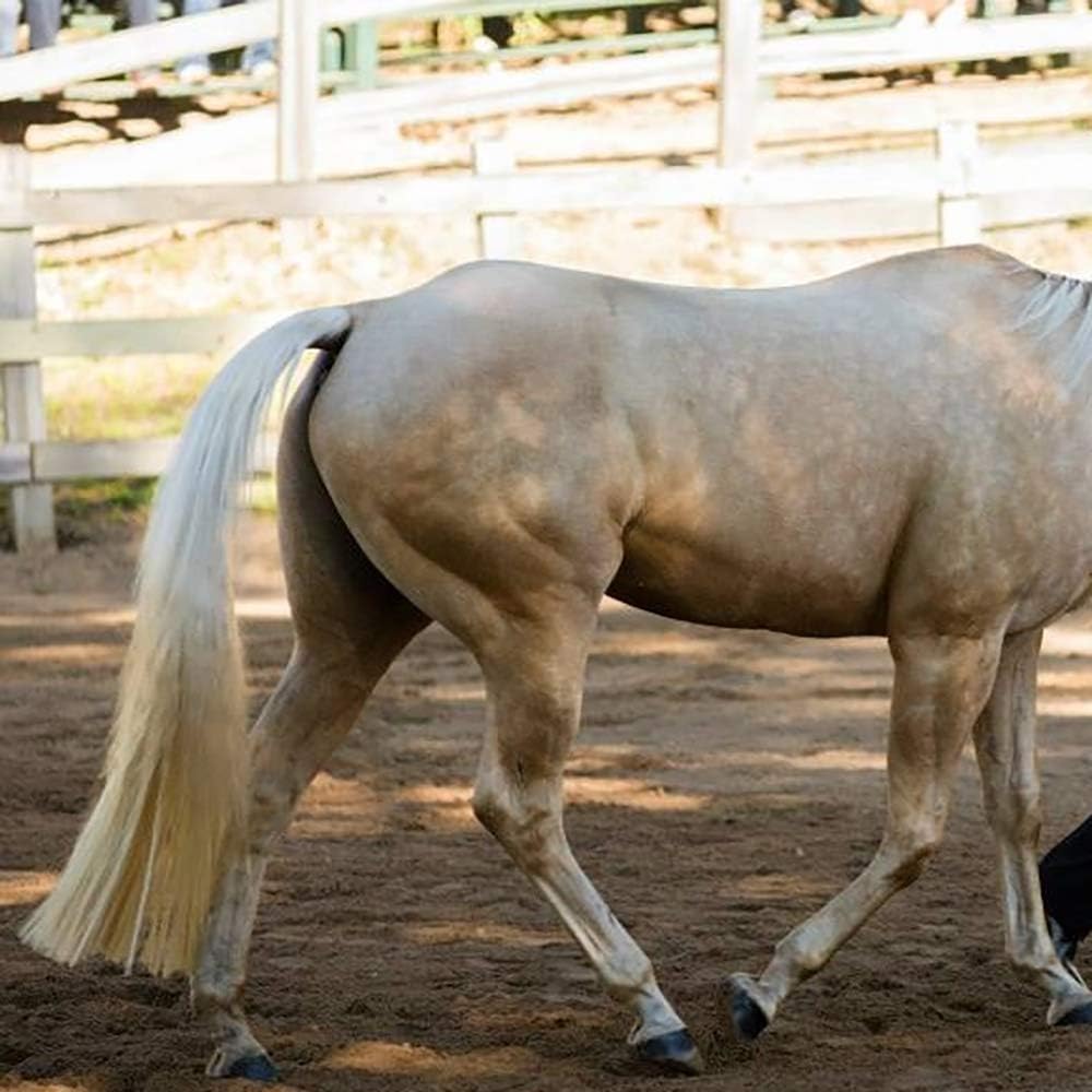 Horse Tail Extensions with Braided Horsehair Loop, Blunt Cut Bottom, 34-36 inches Long and 1 lb