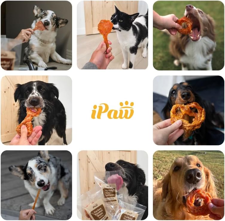 iPaw Turkey Tendons for Dogs, 100% Turkey and US Sourced Raw Material, Hypoallergenic, All Natural