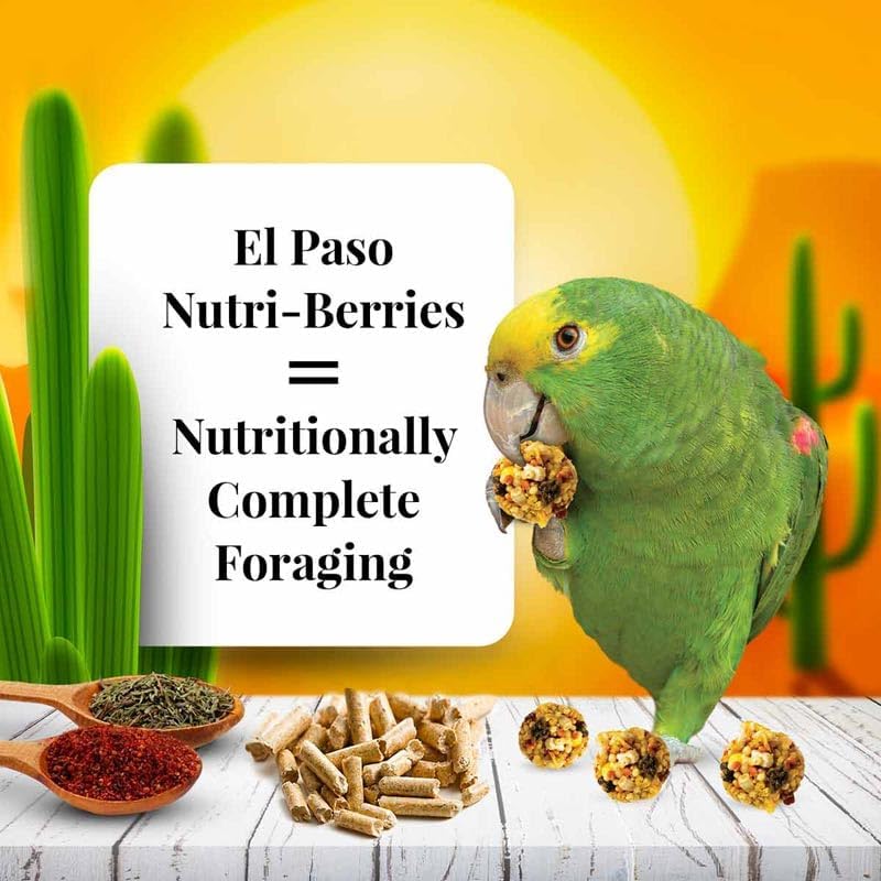 LAFEBER'S El Paso Nutri-Berries Pet Bird Food, Made with Non-GMO and Human-Grade Ingredients, for
