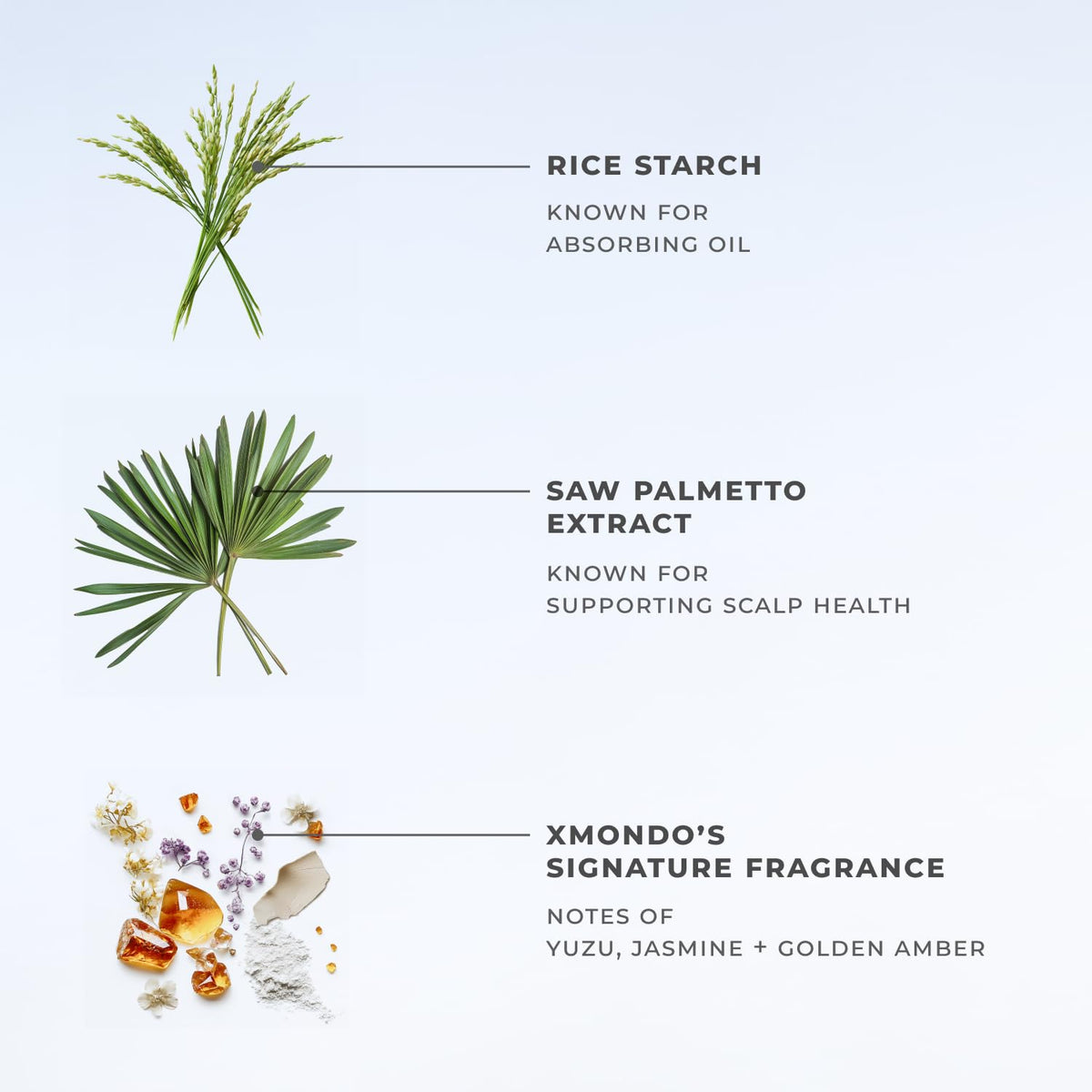 XMONDO Hair BOOST X Dry Shampoo, Zero Residue, Formulated with Saw Palmetto to Promote Scalp Care