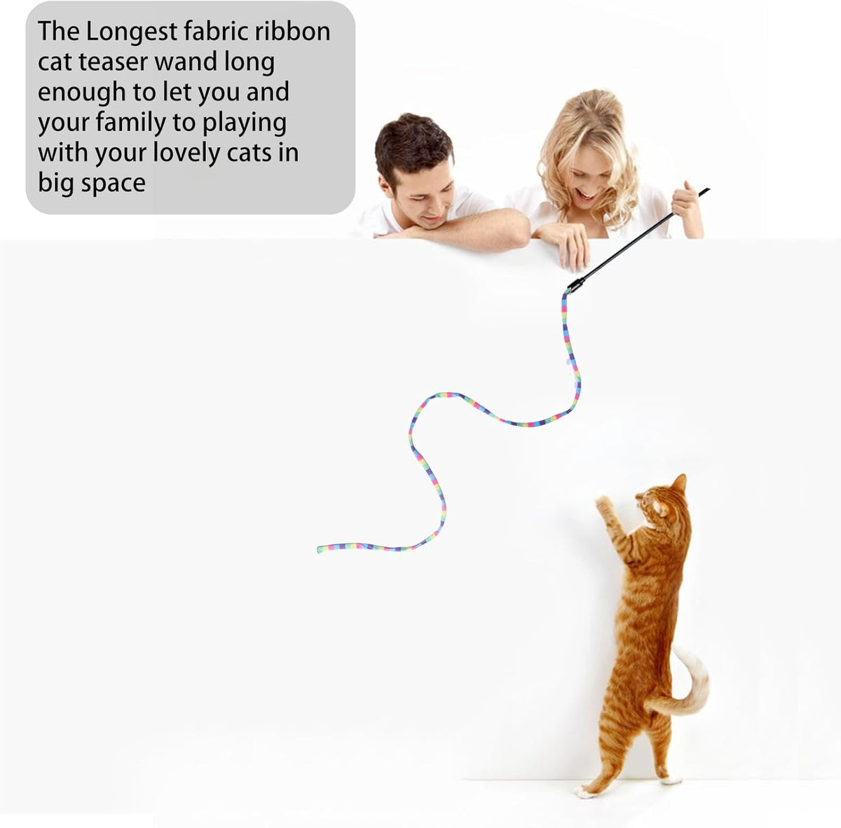 Cat Wand Toys Interactive Kitten Toys Cat Teaser Wand String Feather for Indoor Colorful Ribbon