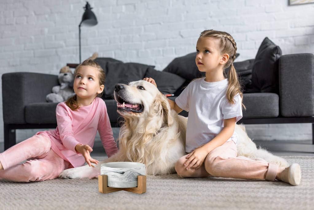 Ceramic Pet Bowls with Stand - Dog Cat Water Bowl and Food Dish -Heavy Weighted & No Tip Over Pet