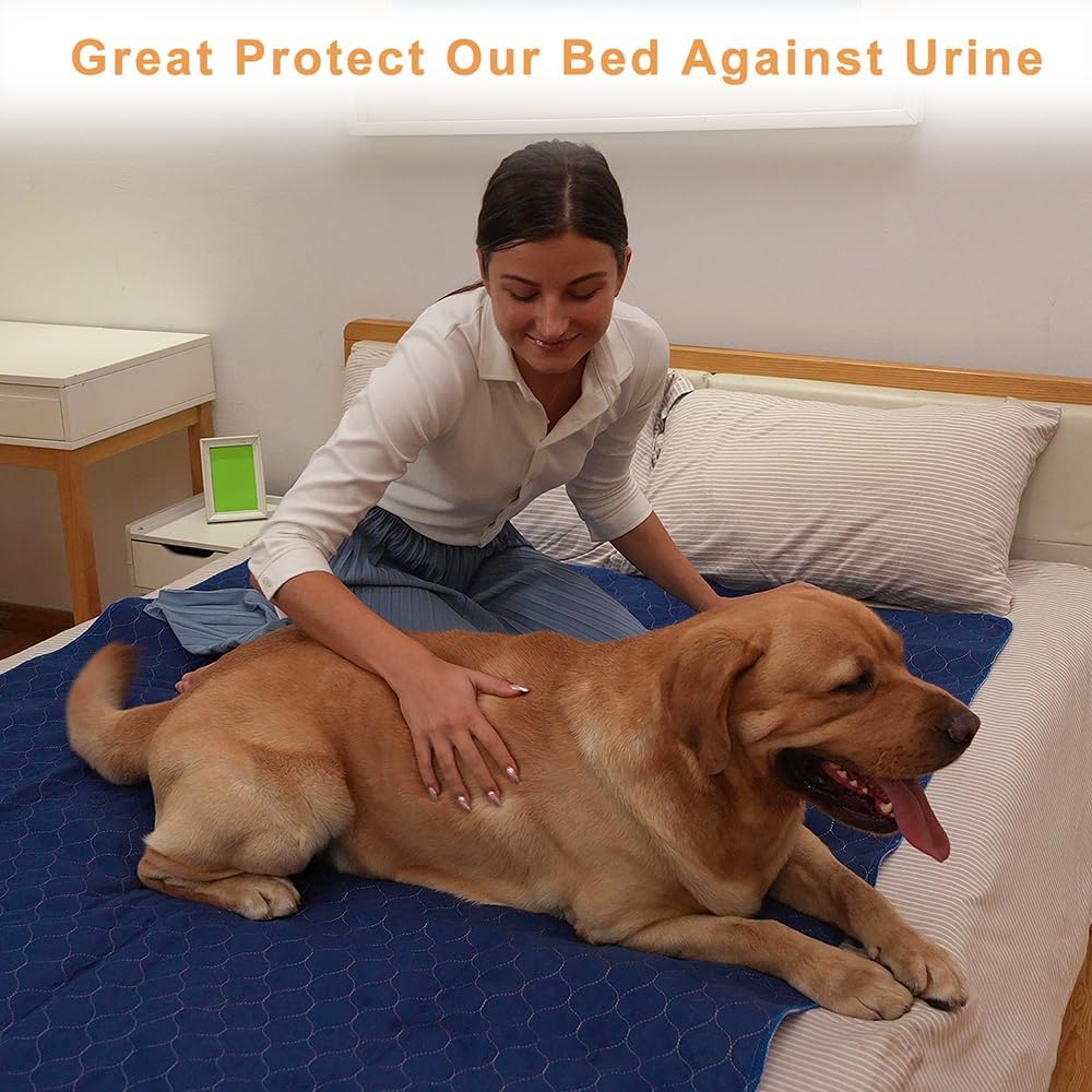 2Pack Dog Pads Washable 53”x65”, Extra Large Puppy Pads Waterproof, Super Absorption, Anti Skid