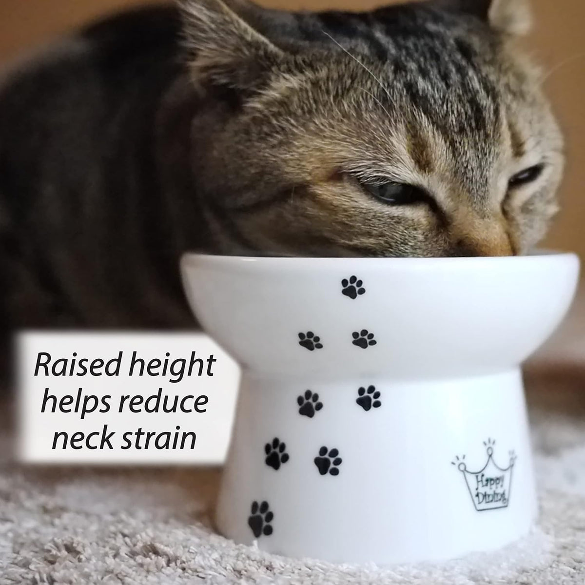 Necoichi Raised Stress Free Cat Food Bowl, Elevated, Backflow Prevention, Dishwasher and Microwave