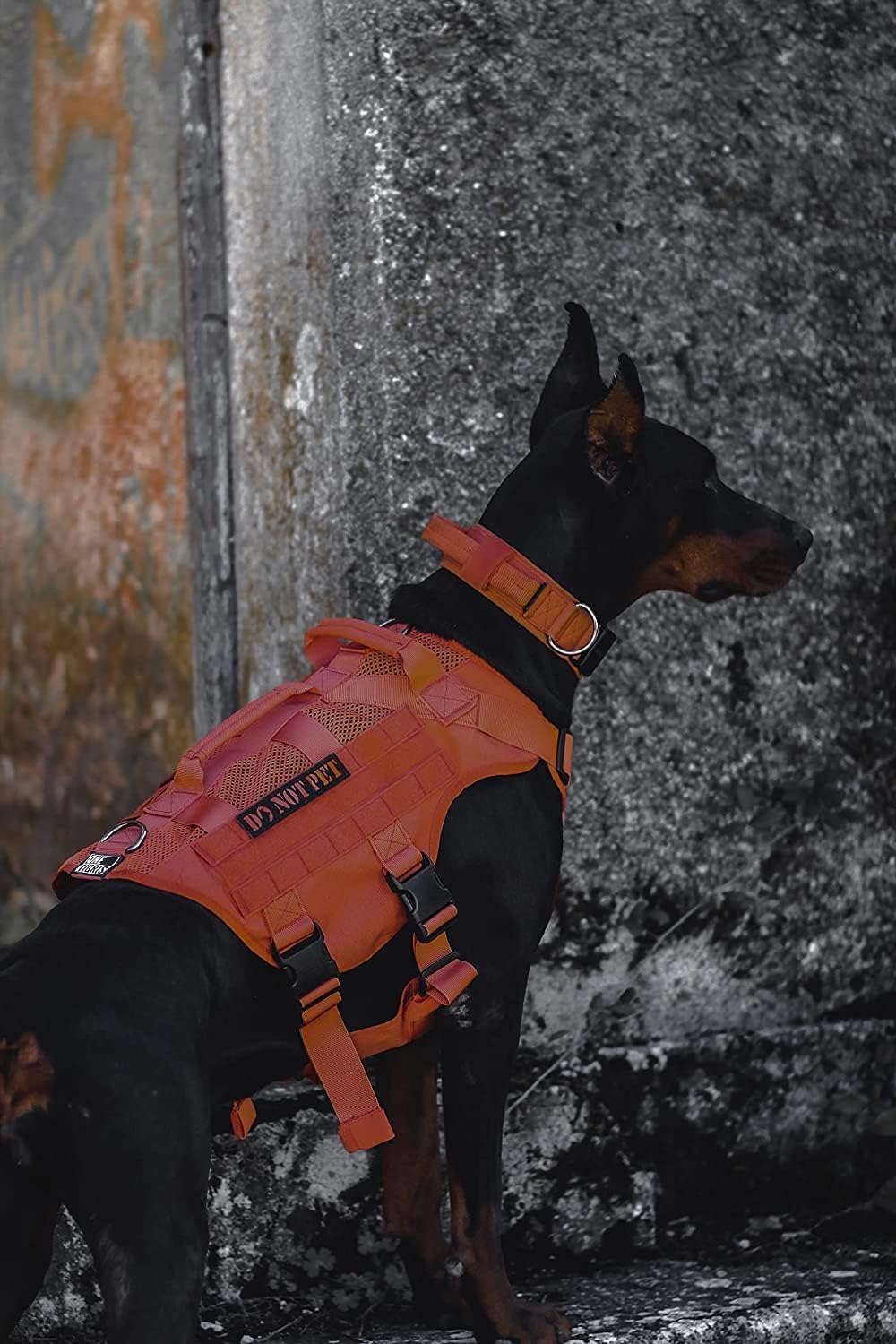 OneTigris No Pull Tactical Dog Harness for Large Dog, Mesh Design Breathable Service Dog Vest with