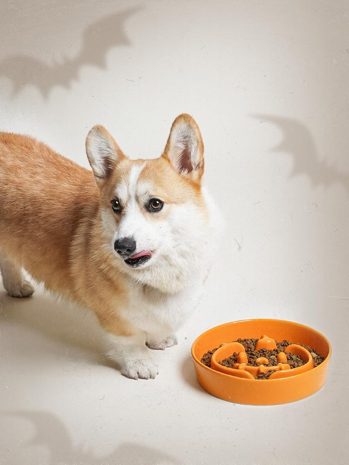 LE TAUCI Ceramic Slow Feeder Dog Bowls Small Breed, 0.6 Cups Dog Food Dish for Fast Eaters, Puzzle