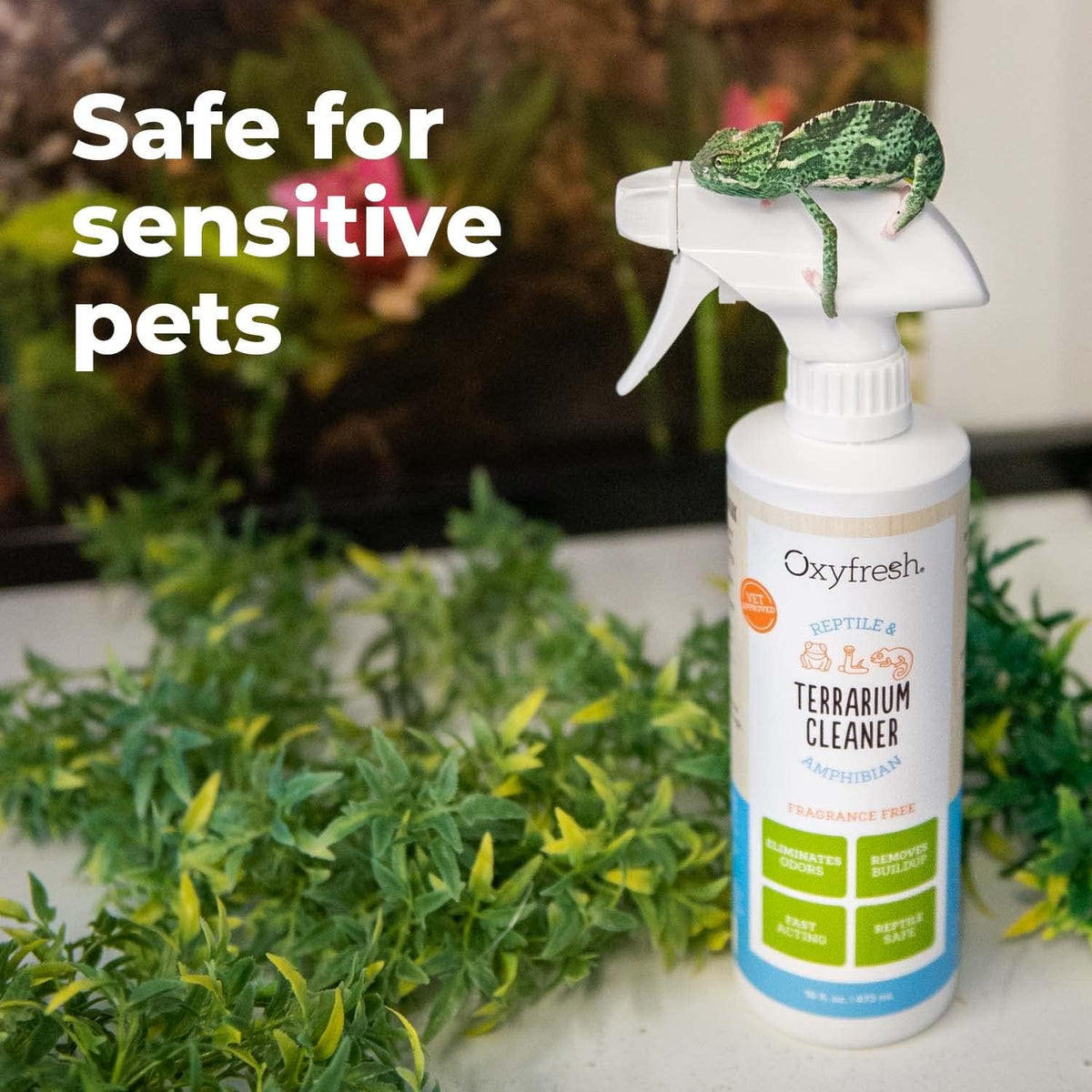 Oxyfresh Premium Terrarium Cleaner – Professional Amphibian and Reptile Terrarium Smell Eliminator