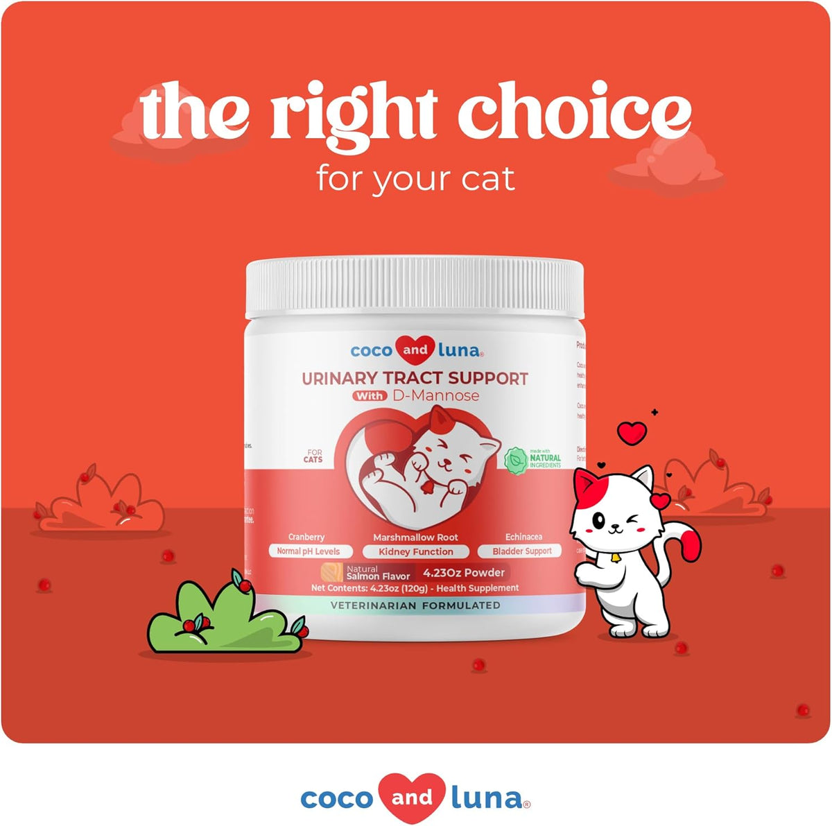 Cranberry for Cats - Incontinence Support, Urinary Tract Support, Cat UTI, Bladder Support, 120g