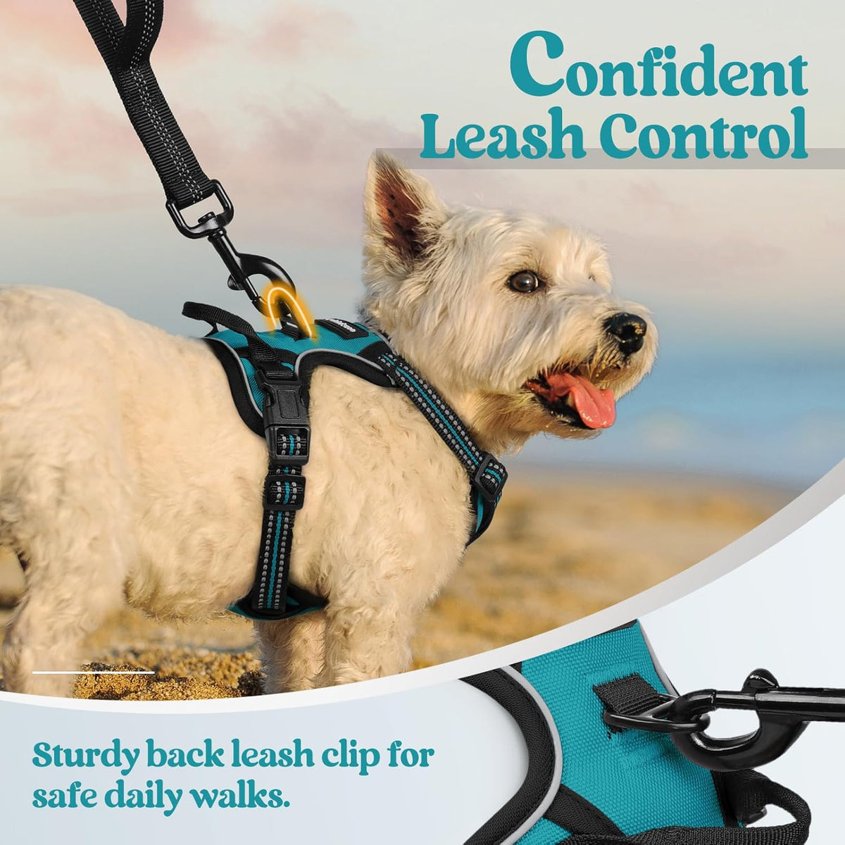 rabbitgoo Dog Harness No Pull with 2 Leash Clips, Adjustable Soft Padded, Reflective Oxford No
