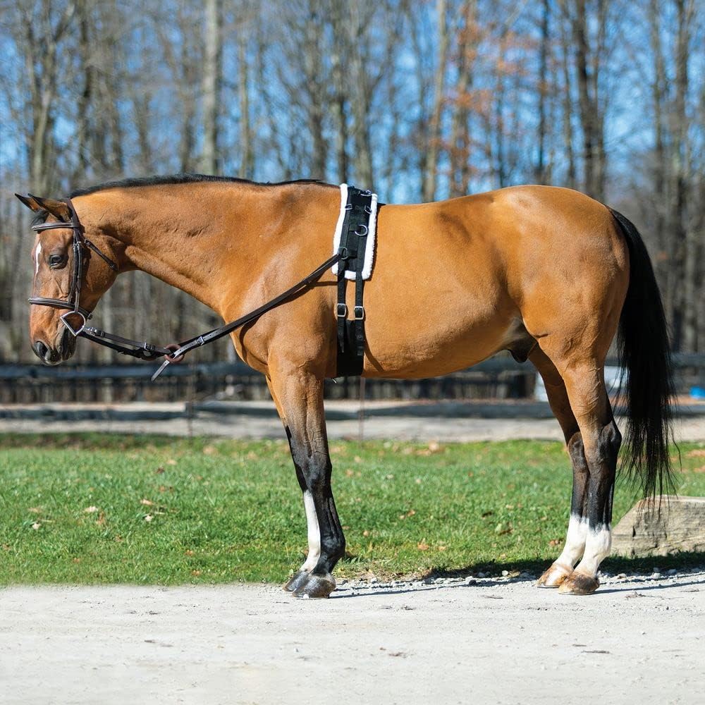 Dura-Tech Fleece Lined Training Surcingle for Horses | Essential for Lunging Work | Comfortable