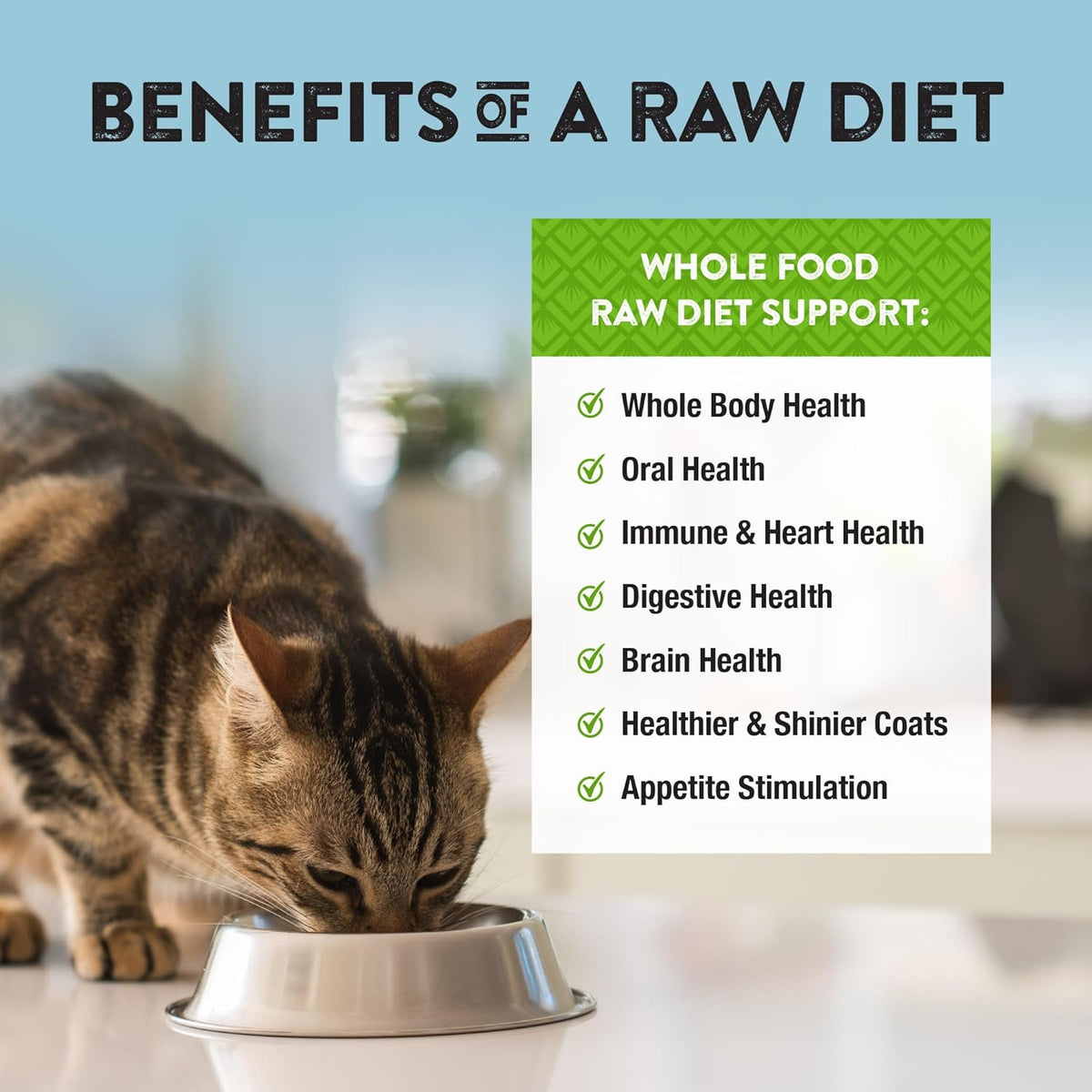 Northwest Naturals Freeze-Dried Chicken Cat & Kitten Food – Bite-Sized Nibbles – Healthy, Limited