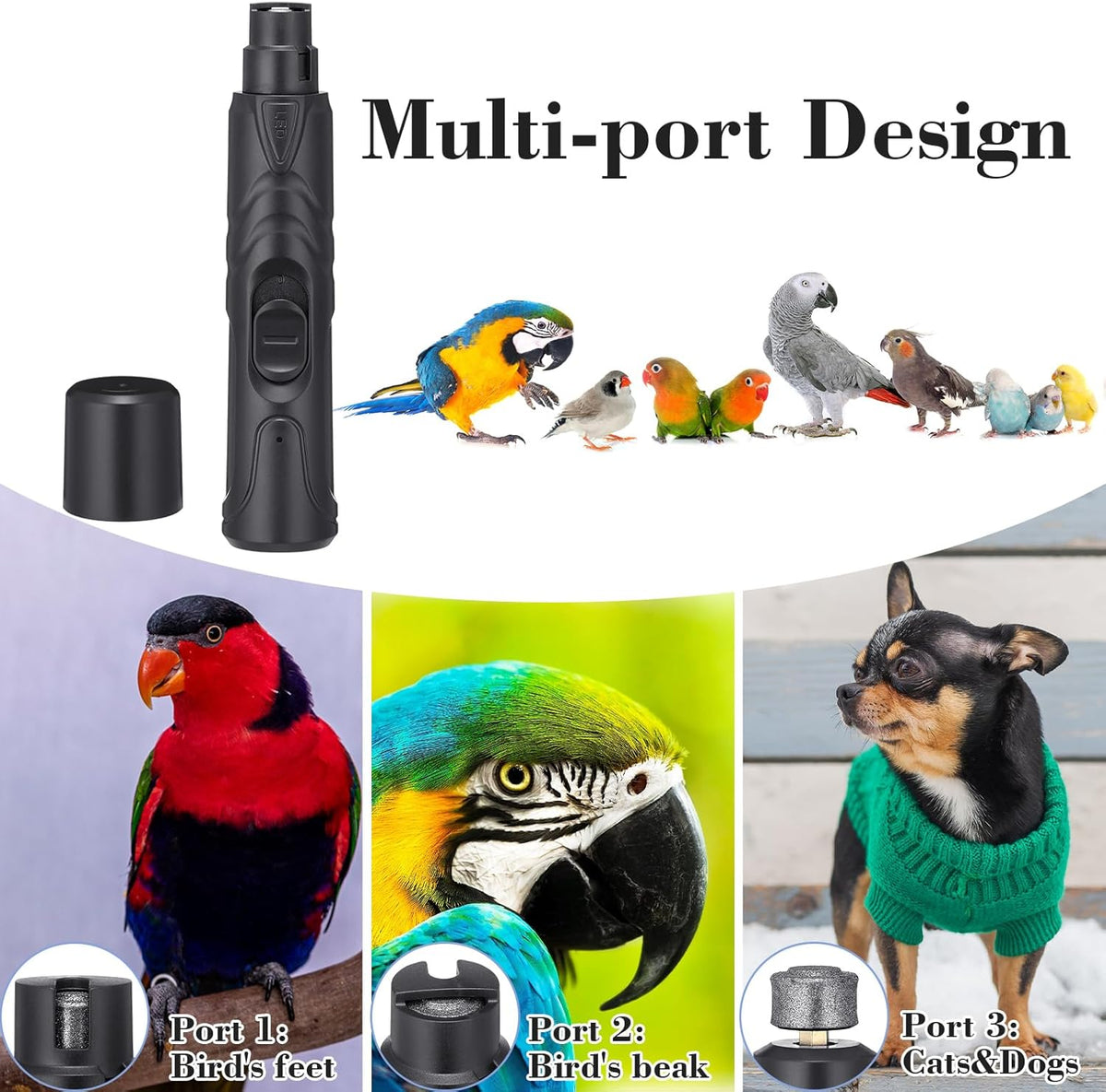 Lasnten 2 Pcs Bird Nail Grinder with Bird Nail Clipper Bird Nail Trimmer Bird Nail File with LED