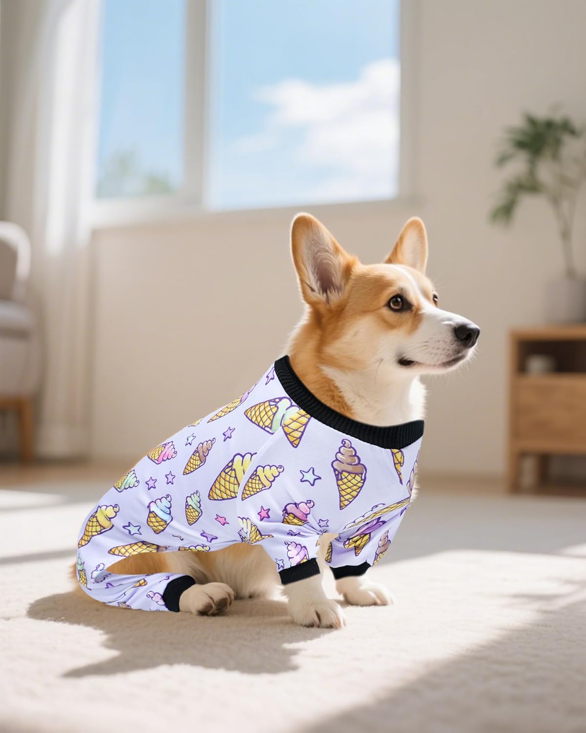 PET SHOW 4 Pack Dog Pajamas for Small Medium Dogs Girl Boy Watermelon Soft Stretchy PJs Whale Ice