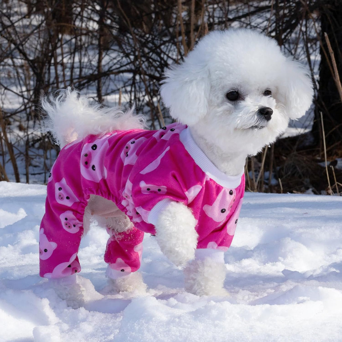 CuteBone Dog Halloween Pajamas Puppy Onesies Small Dogs Soft Pjs Coat Cat Apparel Comfy Pet