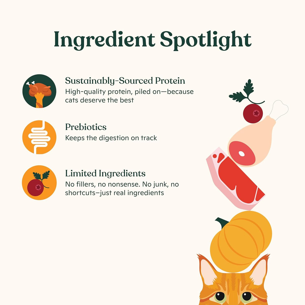 Made by Nacho Bone Broth Cat Food Topper for Hydration and Picky Eaters - Add Protein and Flavor to
