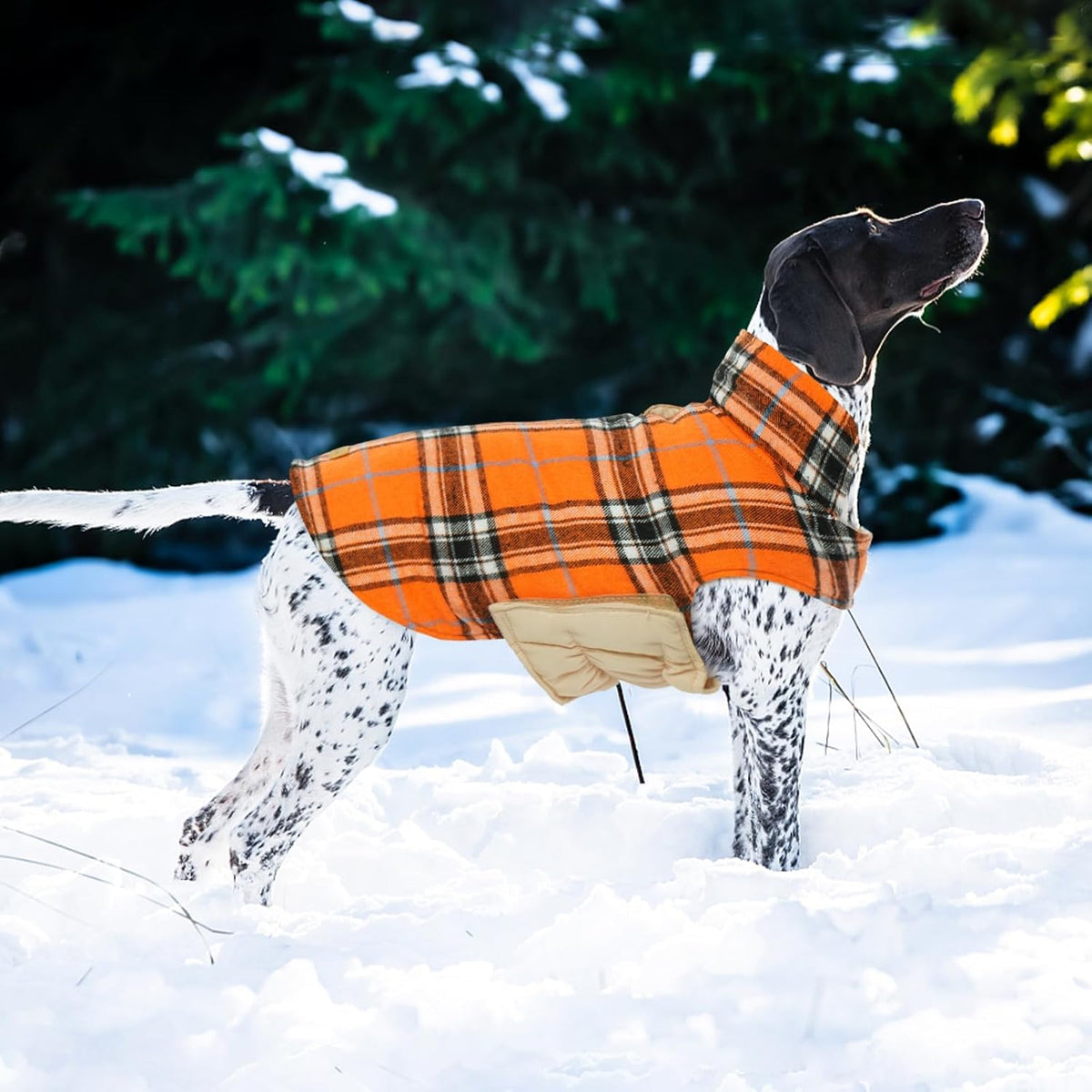 Kuoser Warm Dog Coat, Waterproof Dog Jacket for Extra Large Dogs, Adjustable Durable XL Doggie