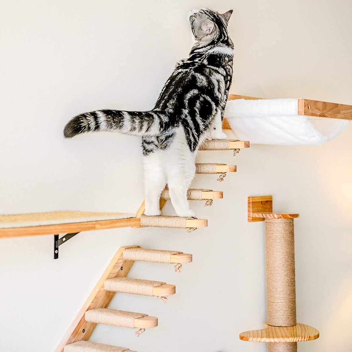 FUKUMARU Cat Hammock Wall Mounted, Kitty Beds and Perches, Wooden Cats Furniture, Stable Wall