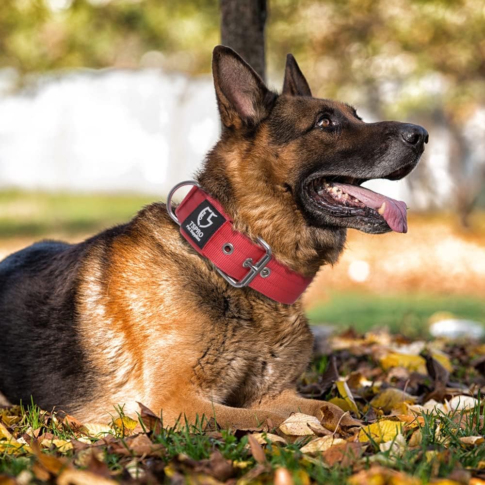 TSPRO Tactical Dog Collar 1.5 Inch Wide Thick Dog Collars with Heavy Duty Metal Buckle, Durable