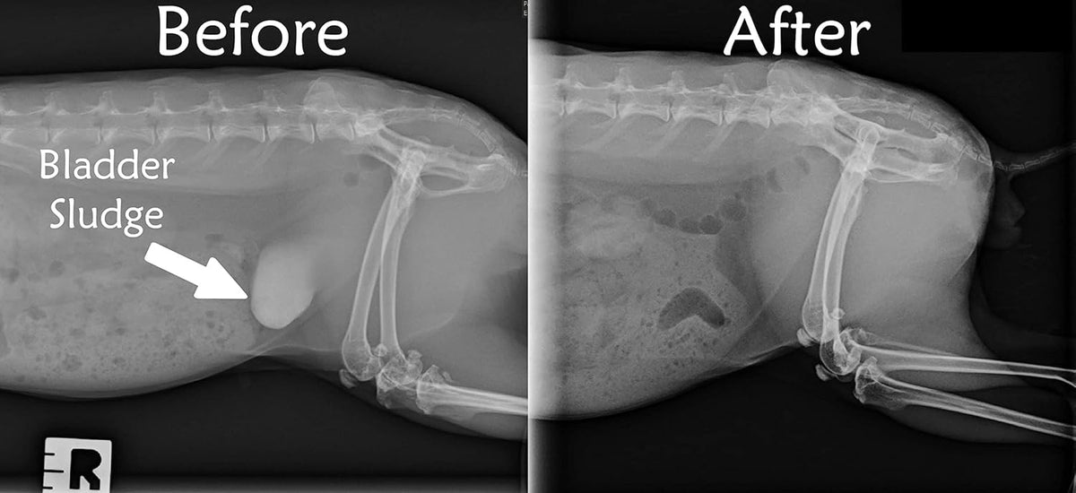 Sherwood Pet Health Adult Guinea Pig Food Measured Timothy Pellet (10 Pound) Hay-Based, Grain-Free