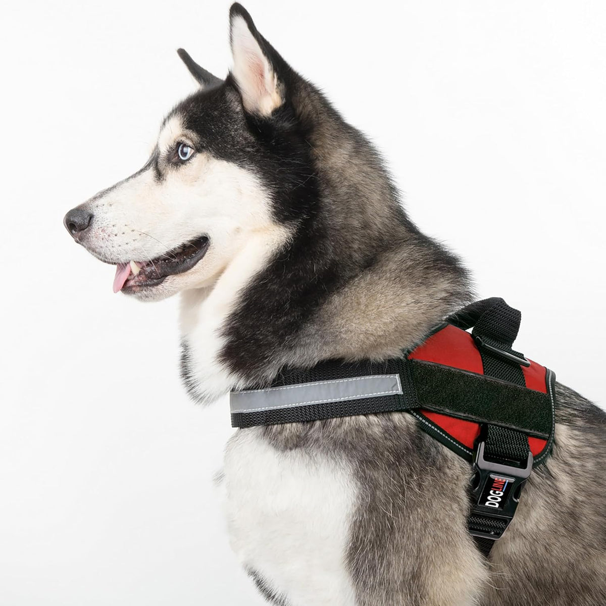 Dogline Dog Harness, Reflective No-Pull Adjustable Vest with Handle for Walking, Training, Service