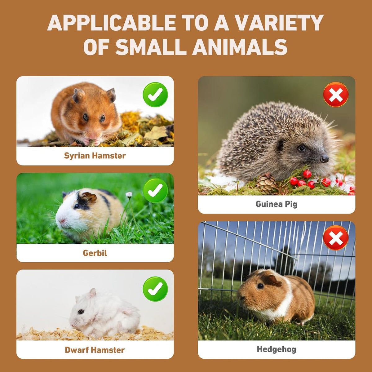 Hamster Cage 8 in 1 with All Accessories, Portable Hamster Cages with Full Transparent Viewing