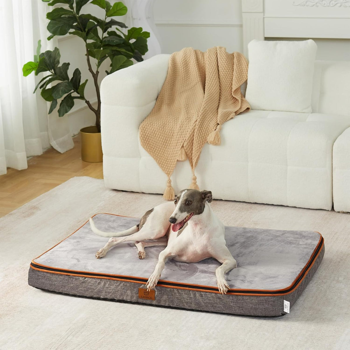 Memory Foam Large Dog Bed - 4” Thick Orthopedic Beds for Large Dogs - Waterproof Dog Bed with
