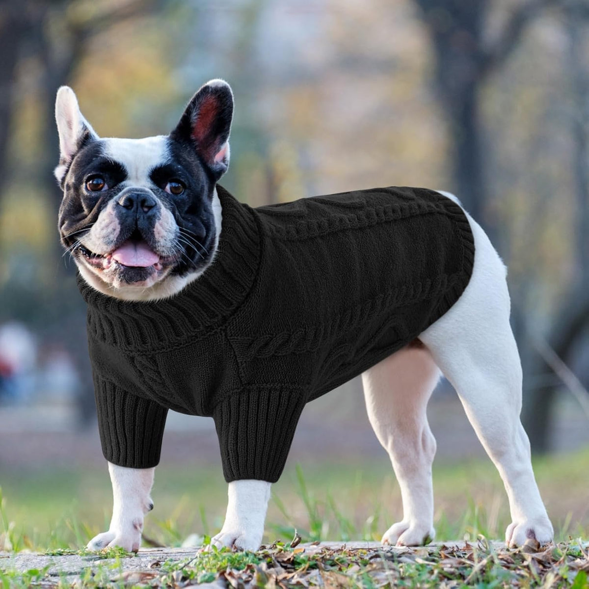 Queenmore Small Dog Pullover Sweater, Cold Weather Cable Knitwear, Classic Turtleneck Thick Warm