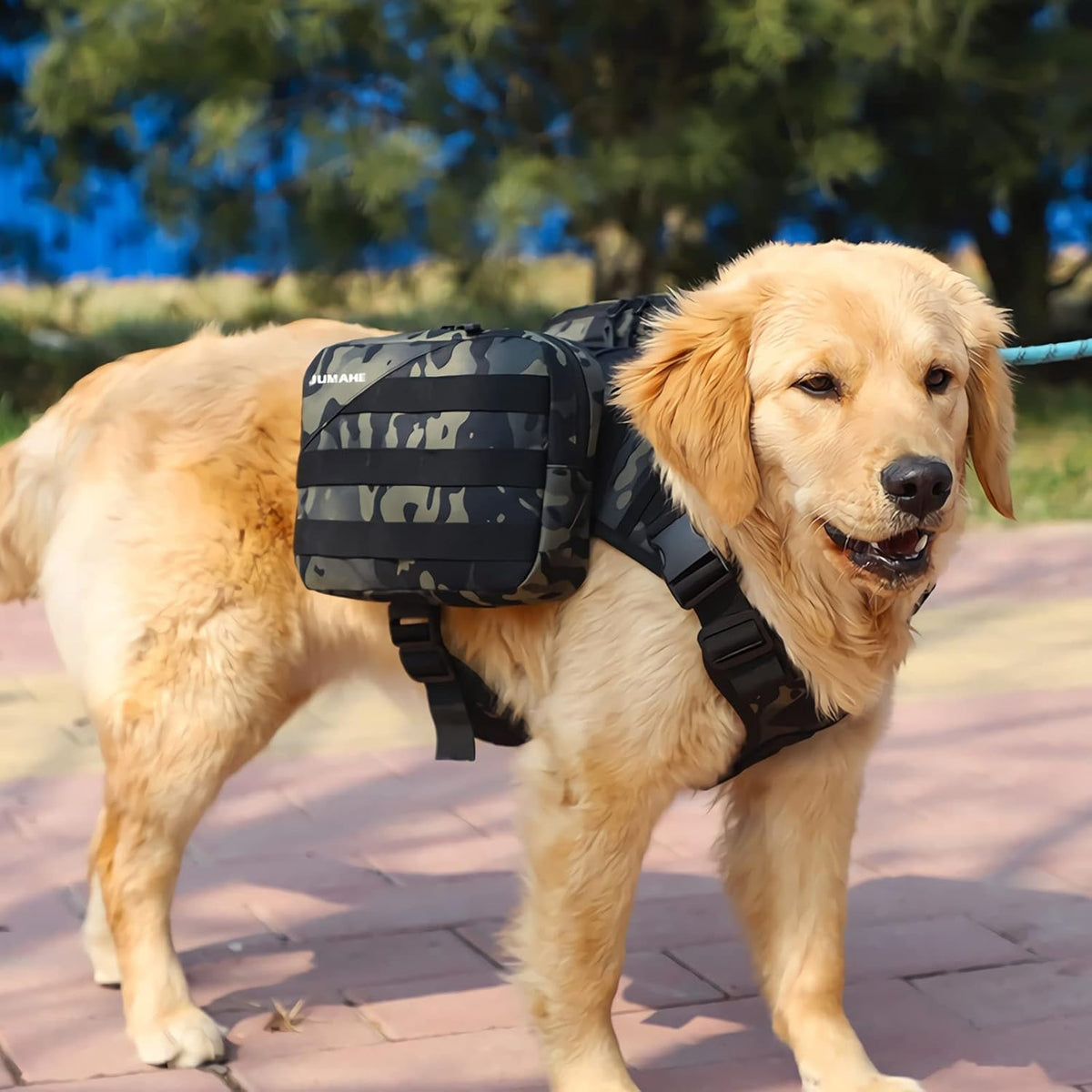 BYGD Dog Saddle Backpack for Hiking, Lightweight Waterproof Harness with Removable Bags for Large