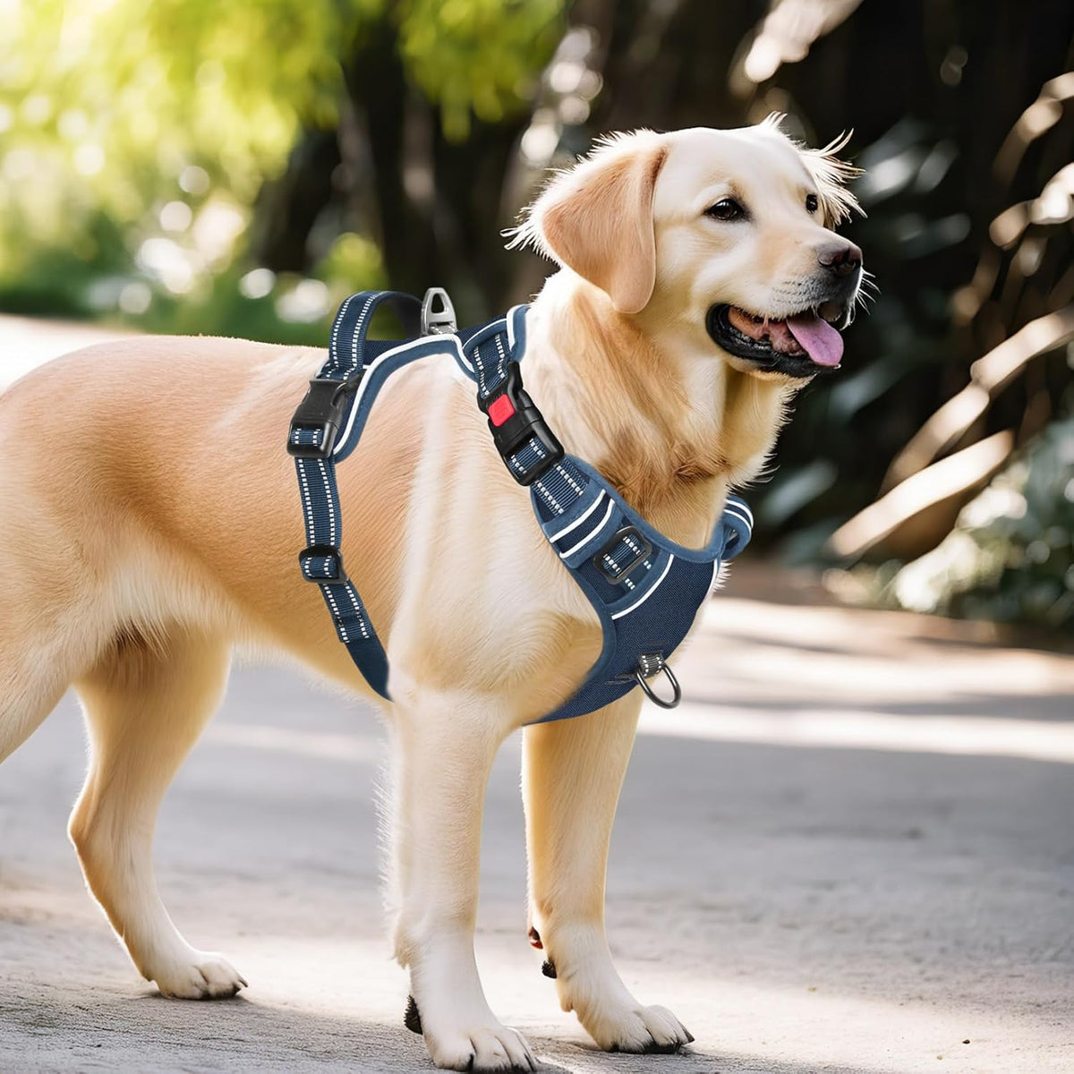 Timos Dog Harness Large Sized, No Pull Pet Harness with Neck Lockable Snap,No Choke Front Clip Dog