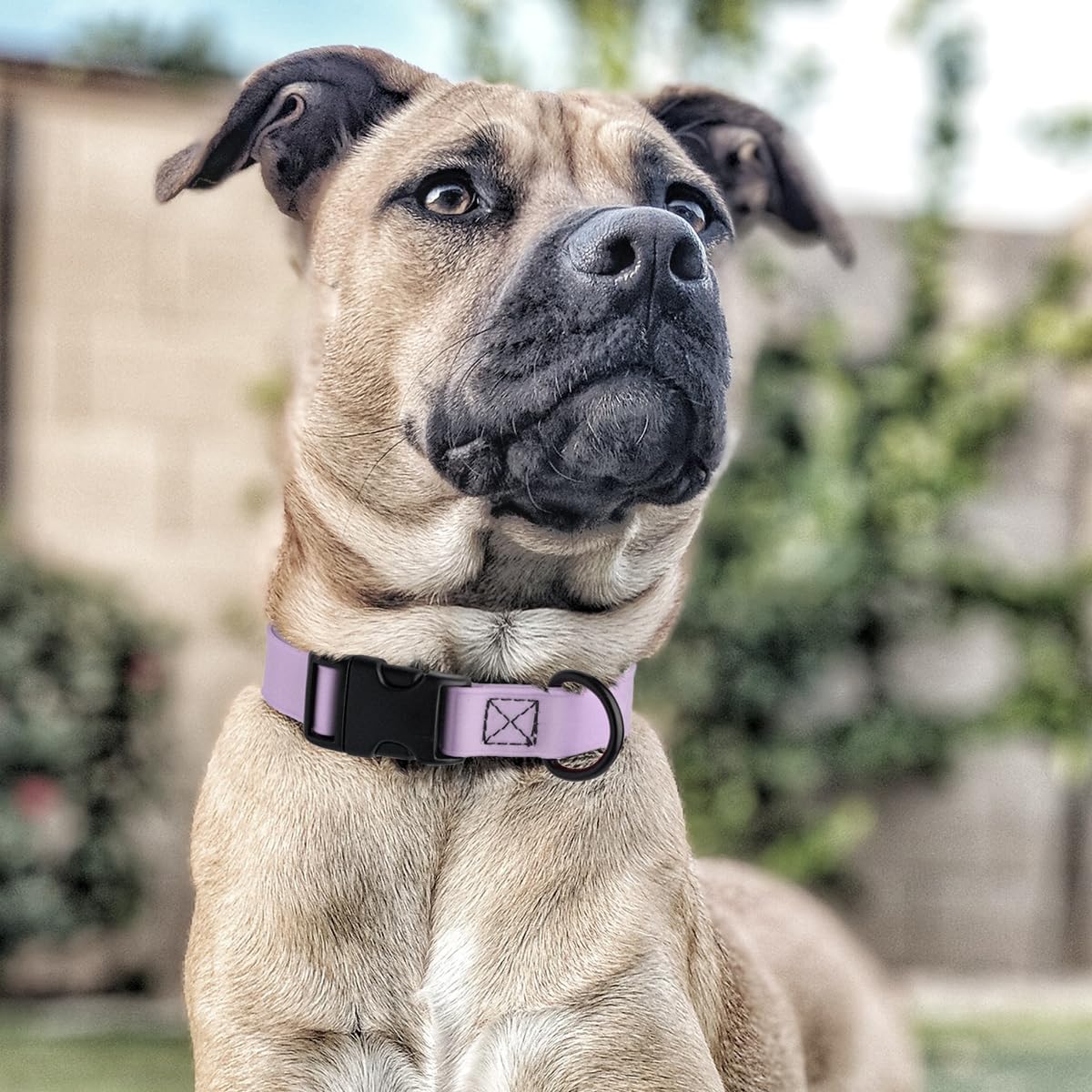 Dogline Biothane Waterproof Dog Collar with Quick Release Buckle Strong Coated Nylon Webbing with
