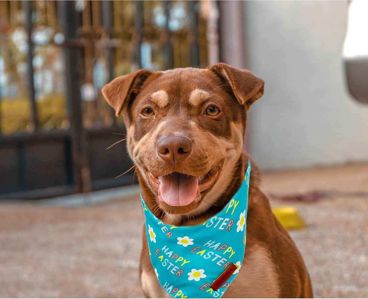 Realeaf Happy Easter Dog Bandanas 2 Pack, Reversible Pet Scarf for Boy and Girl, Premium Durable