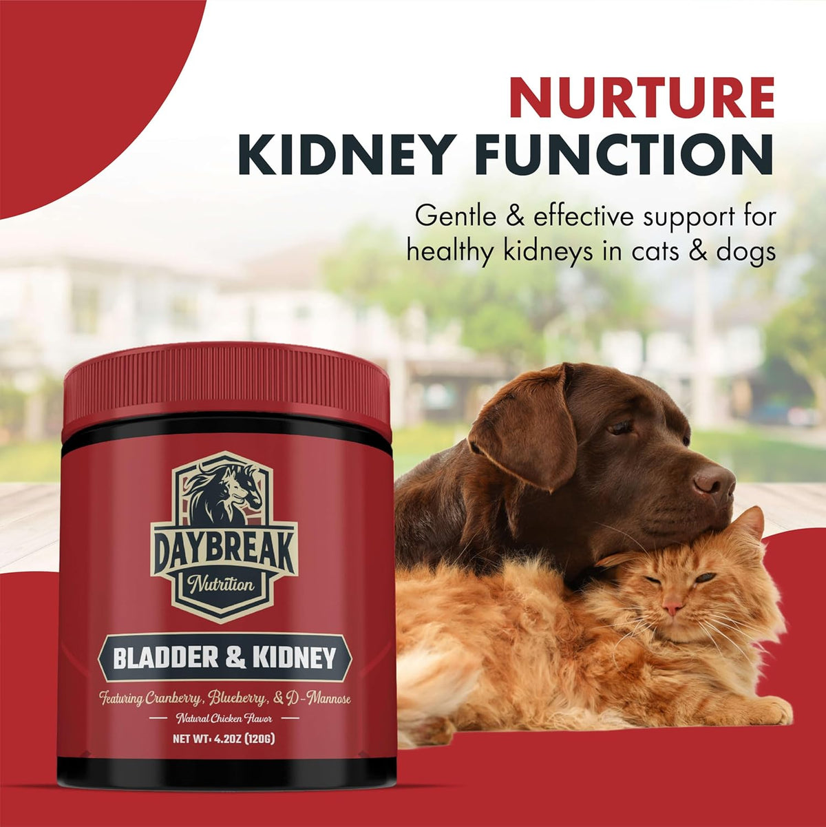Bladder and Kidney Relief for Dogs & Cats by Daybreak Nutrition | Powder Cranberry Supplement for
