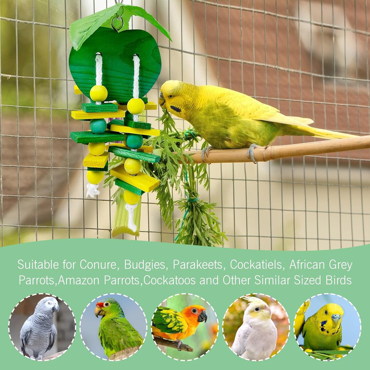Hamiledyi Natural Wood Block Bird Cage Toys Parrot Chewing Toy Apple&Grape&Pear&Strawberry Shaped