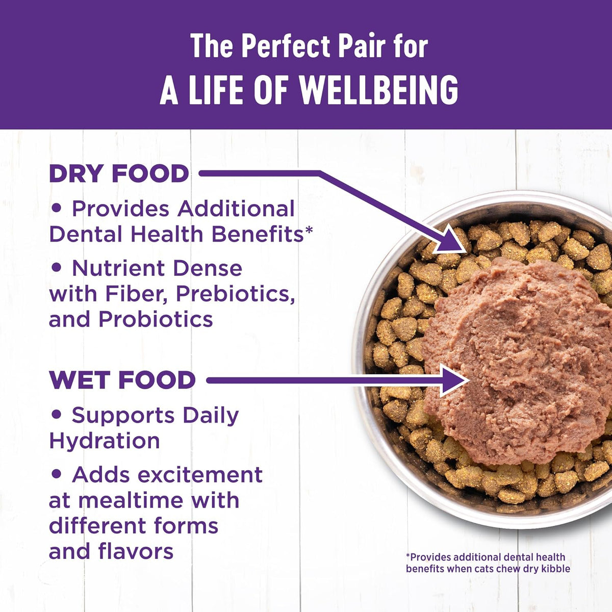 Wellness Complete Health Gravy Adult Wet Cat Food, Natural, Protein-Rich, Grain Free, 5.5 Ounce, 12
