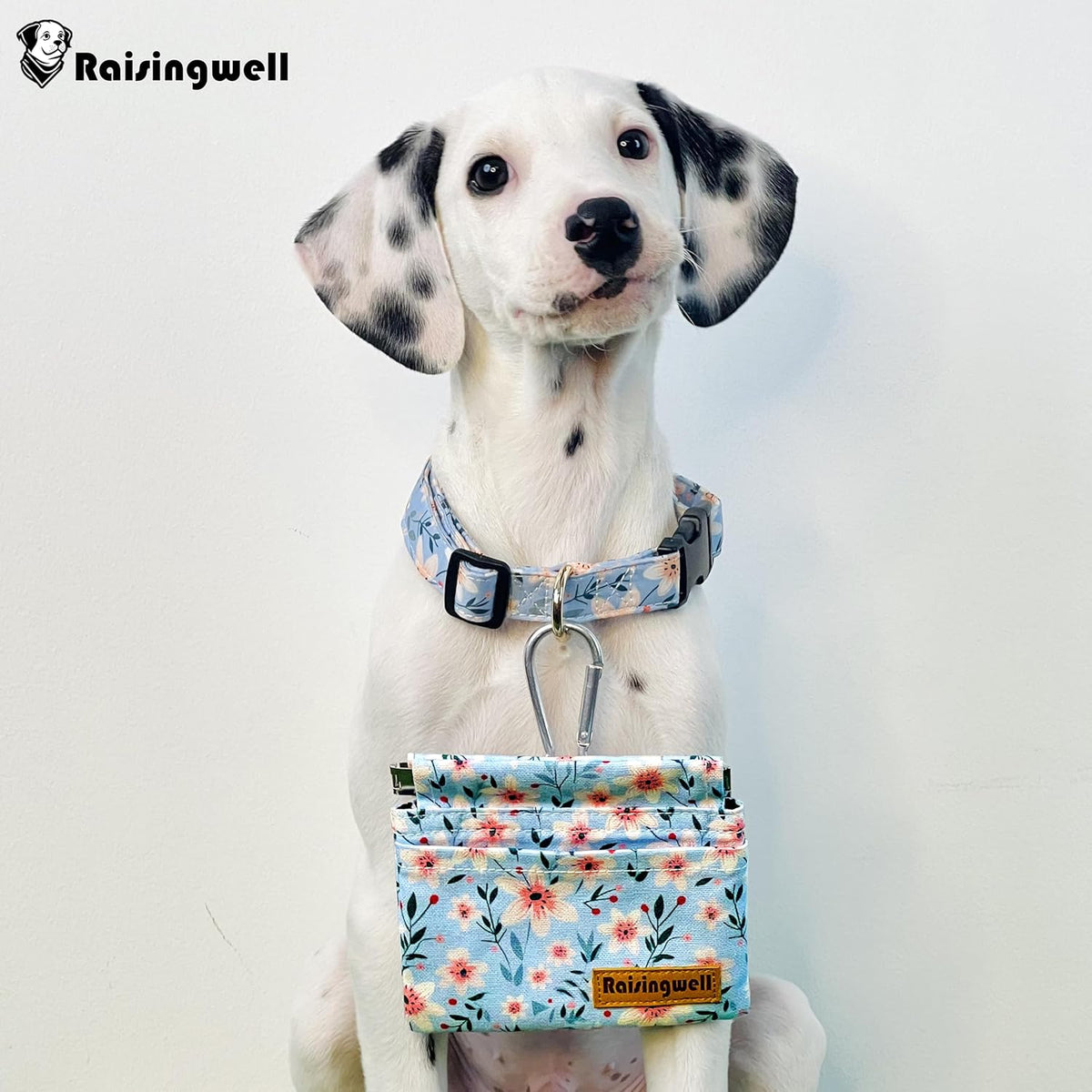 Dog Treat Pouch, Small Cotton Pocket Sized Training Holder, Hand Free Walking Fanny Bag with