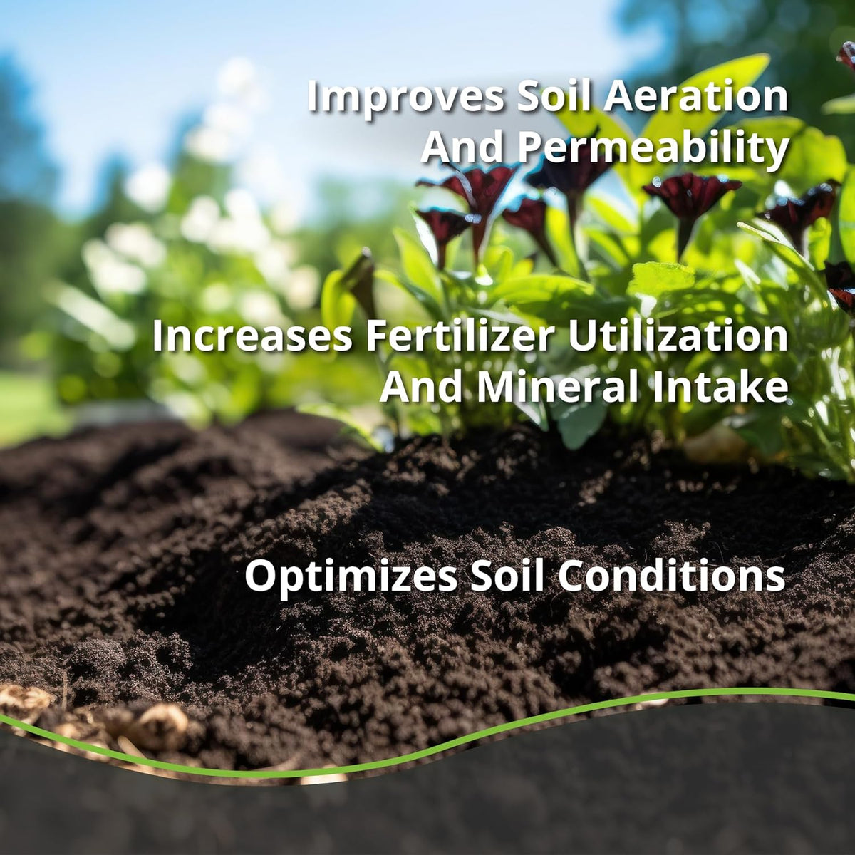 Char Bliss (16 Qts) - Organic Biochar for Plants - OMRI-Listed Biochar Soil Amendment Organic - Bio