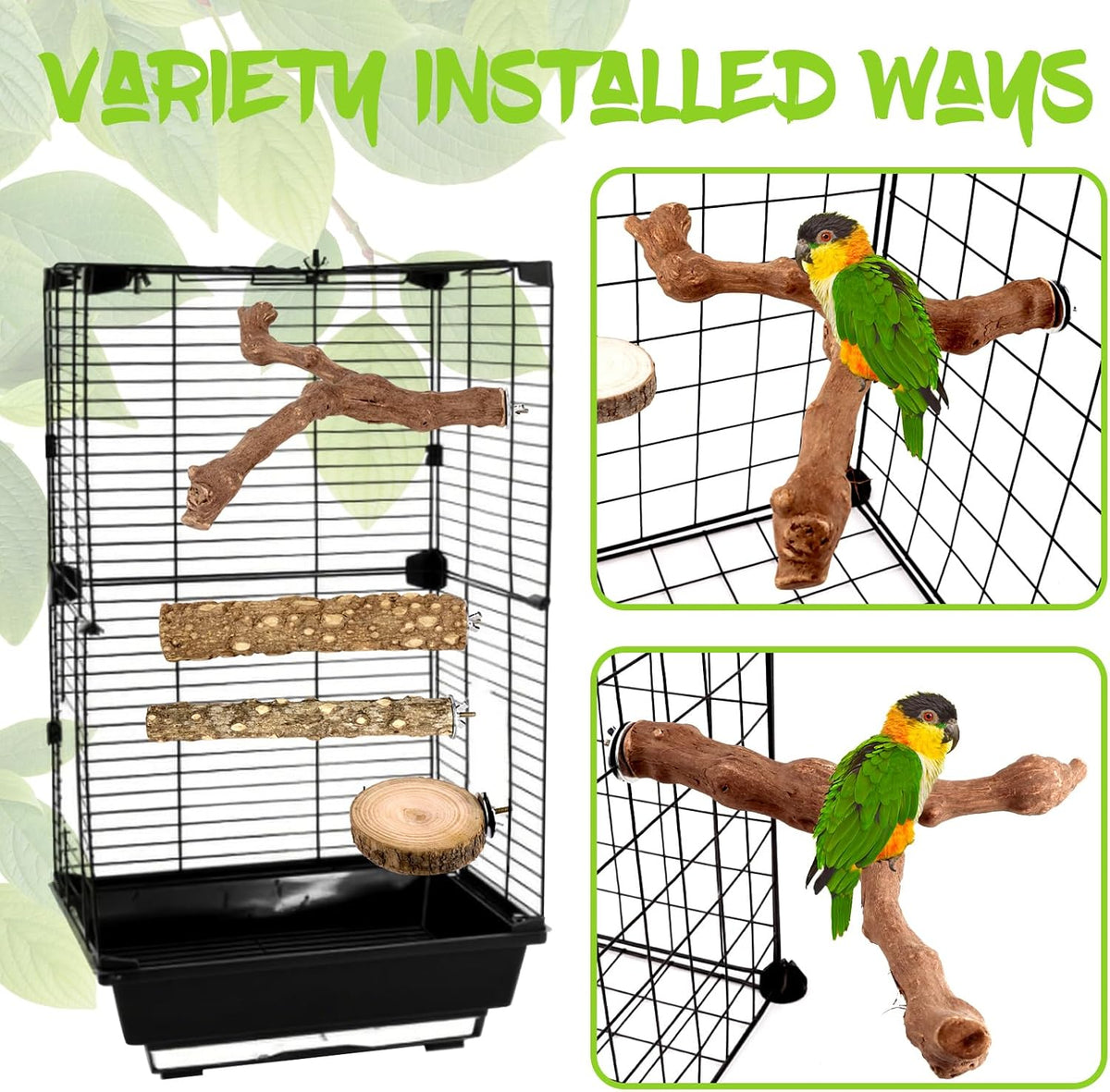 8PCS Natural Grape Wood Bird Perch Set - Parrot Cage Stand with Paw Grinding Forks, Chewing Sticks