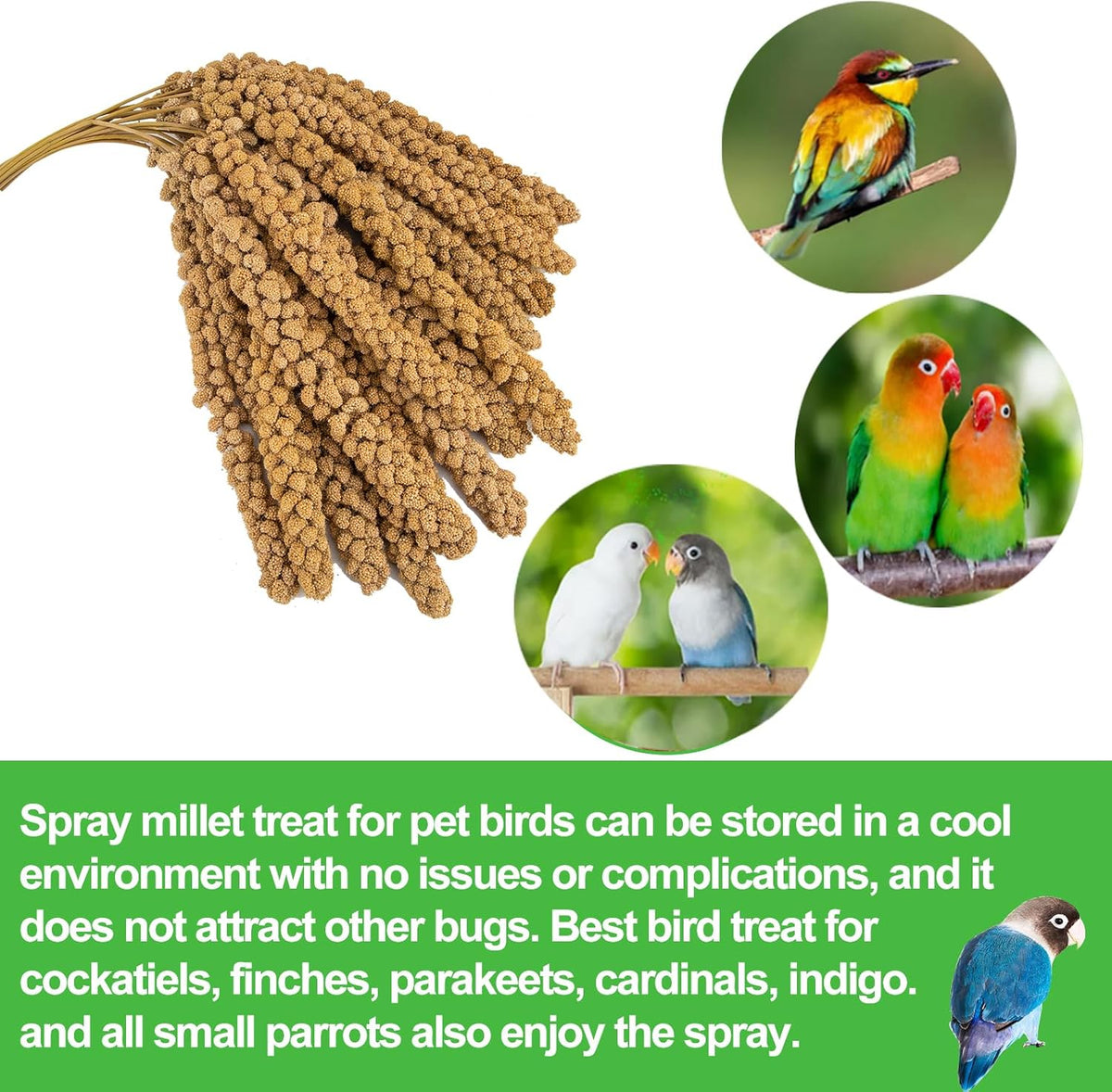 RANZ 5LBS Millet Spray for Birds, GMO-Free, Sun Dried Spray Millet, Original Bird Treats &