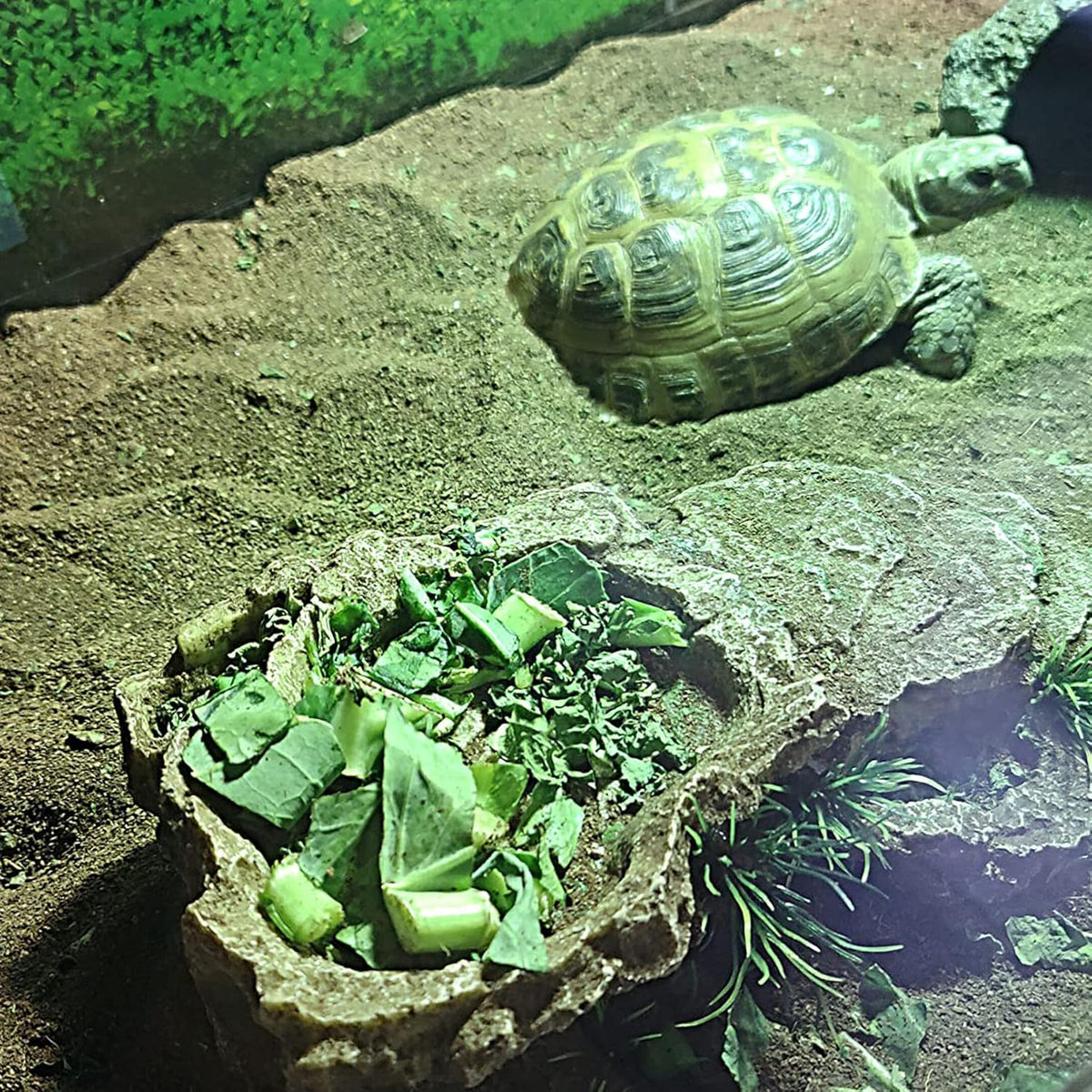 kathson Turtle Basking Platform,Tortoise Resin Climbing Rock Rectangular Resting Terrace Tank