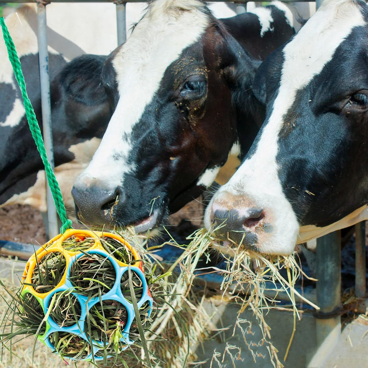 Besimple 2 Pack Horse Treat Ball Hay Feeder Toy, Goat Feeder Ball Hanging Feeding Toy for Horse
