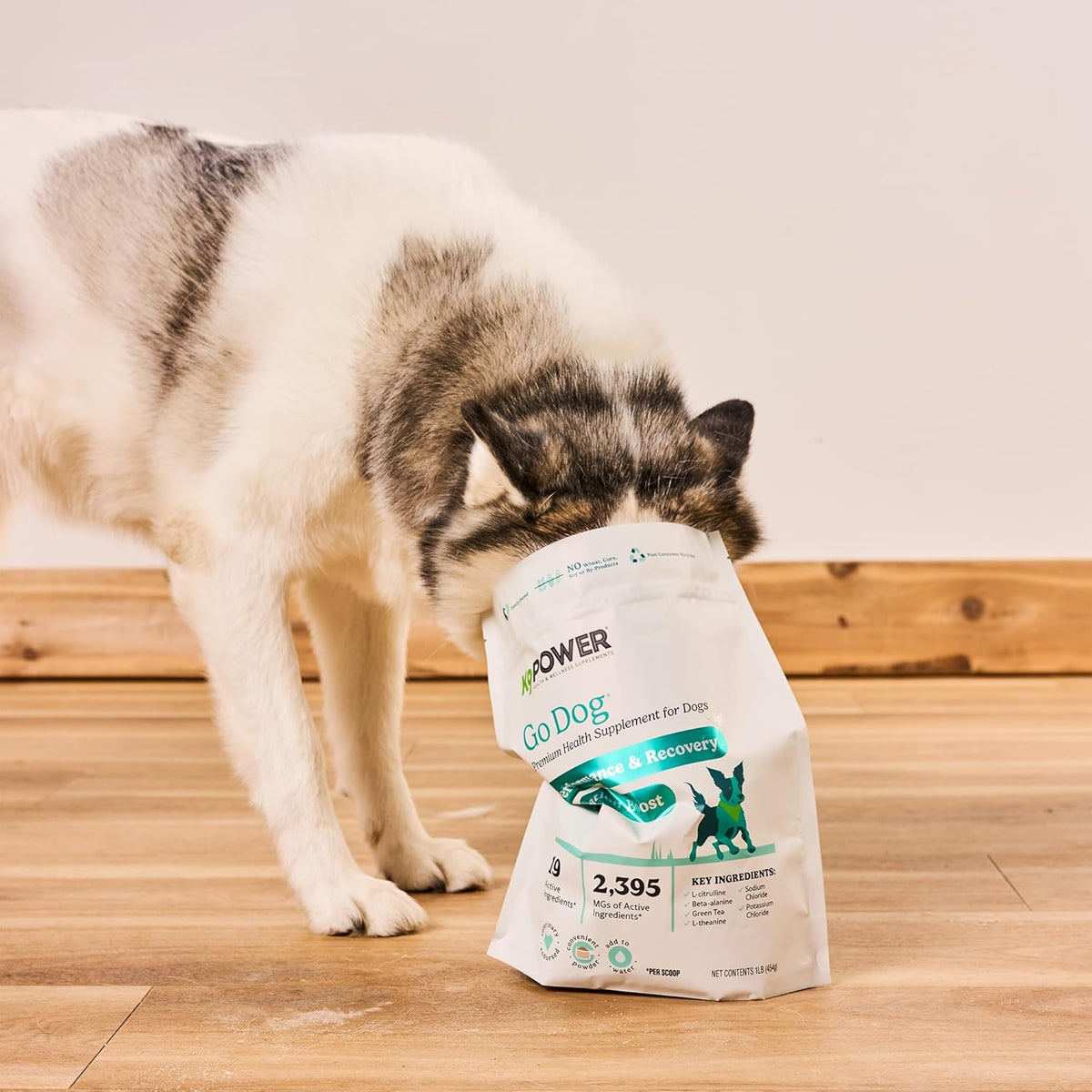 K9 Power Go Dog Hydration & Performance Drink Mix 1 lb - Active Dog Supplement for Muscle Function