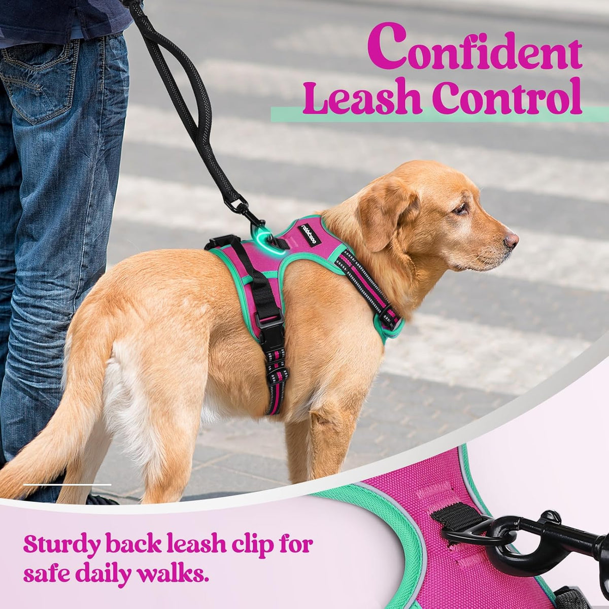 rabbitgoo Dog Harness No Pull with 2 Leash Clips, Adjustable Soft Padded, Reflective Oxford No