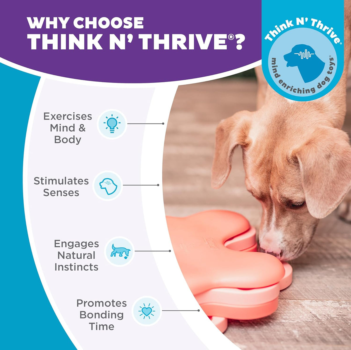 Outward Hound Nina Ottosson Puppy Tornado Dog Puzzle Interactive Treat Puzzle Dog Enrichment Dog